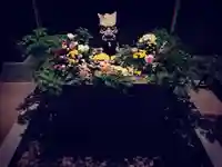 滑川神社 - 仕事と子どもの守り神の手水舎