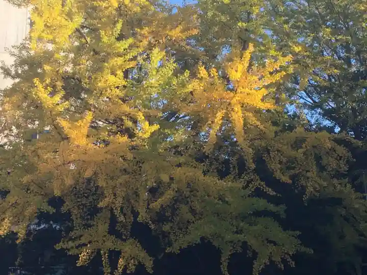豊平神社の自然