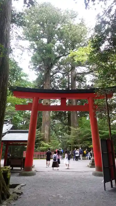 箱根神社(神奈川県)