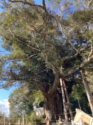 寂光寺(千葉県)
