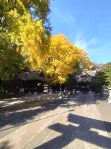 玉敷神社(埼玉県)