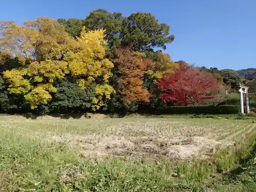 夜都伎神社の周辺