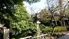 長谷寺(神奈川県)