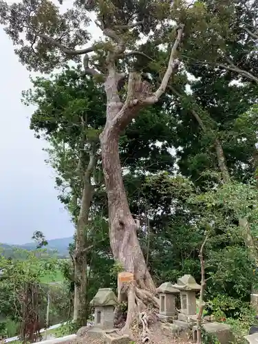 八雲神社の末社