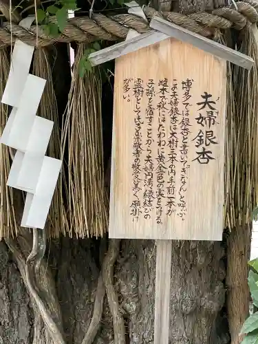 櫛田神社の{uncategorized: "未分類", other: "その他", undefined: "問題あり", building: "その他建物", grave: "お墓", sacred_gate: "鳥居", guardian: "狛犬", statue: "像", buddha: "仏像", history: "歴史", nature: "自然", garden: "庭園", animal: "動物", pagoda: "塔", temizu: "手水舎", mountain_gate: "山門・神門", sanctuary: "本殿・本堂", subordinate: "末社・摂社", art: "芸術", scenery: "景色", jizo: "地蔵", ema: "絵馬", goshuin: "御朱印", omikuji: "おみくじ", items: "授与品その他", amulet: "お守り", goshuincho: "御朱印帳", eats: "食事", festival: "お祭り", votive_dance: "神楽", shichigosan: "七五三参", wedding: "結婚式", experience: "体験その他", initially: "初詣", around: "周辺", anti_infection: "感染症対策"}
