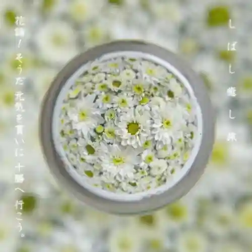 帯廣神社(北海道)