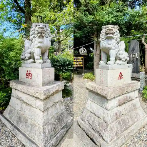 菊田神社の狛犬