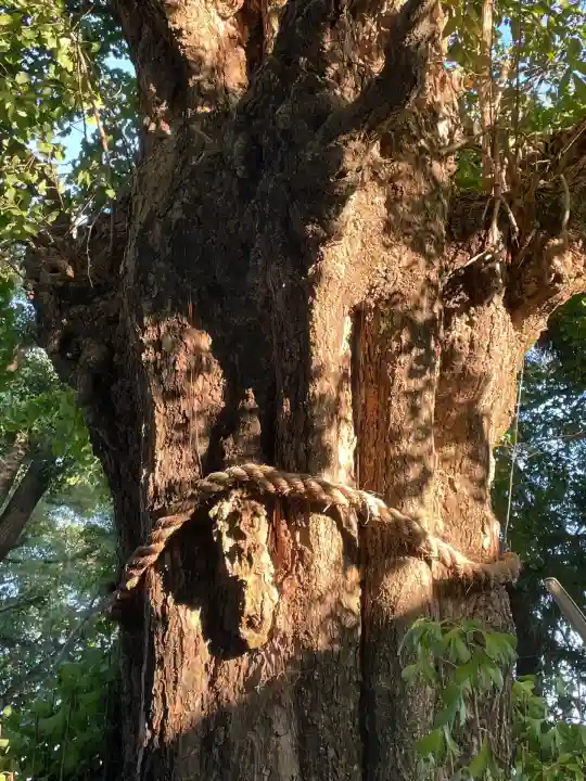 鞆江神社(明地)(愛知県)