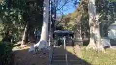 椙山神社(東京都)