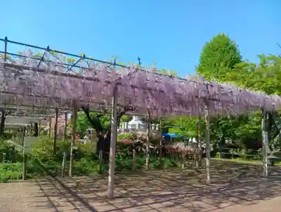 曼陀羅寺(愛知県)