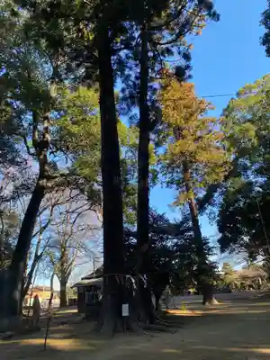 東蕗田天満社(茨城県)