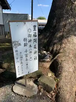 豊福阿蘇神社のその他建物