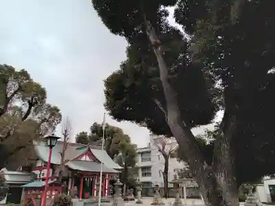 春日神社のその他建物