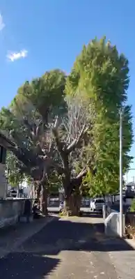 愛宕神社の自然