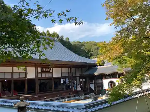 宝徳寺(群馬県)