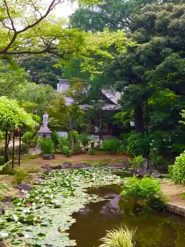 本土寺の庭園