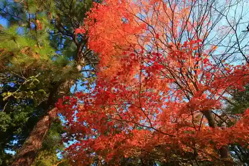 青葉神社の自然