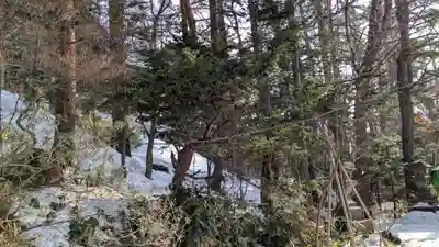 白石神社の自然