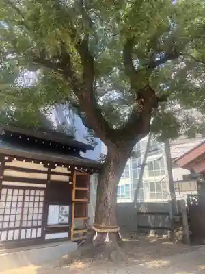 堀川戎神社(大阪府)