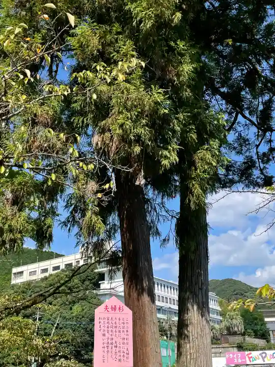 與止日女神社の{uncategorized: "未分類", other: "その他", undefined: "問題あり", building: "その他建物", grave: "お墓", sacred_gate: "鳥居", guardian: "狛犬", statue: "像", buddha: "仏像", history: "歴史", nature: "自然", garden: "庭園", animal: "動物", pagoda: "塔", temizu: "手水舎", mountain_gate: "山門・神門", sanctuary: "本殿・本堂", subordinate: "末社・摂社", art: "芸術", scenery: "景色", jizo: "地蔵", ema: "絵馬", goshuin: "御朱印", omikuji: "おみくじ", items: "授与品その他", amulet: "お守り", goshuincho: "御朱印帳", eats: "食事", festival: "お祭り", votive_dance: "神楽", shichigosan: "七五三参", wedding: "結婚式", experience: "体験その他", initially: "初詣", around: "周辺", anti_infection: "感染症対策"}