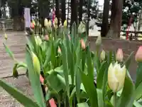 大宮温泉神社の自然