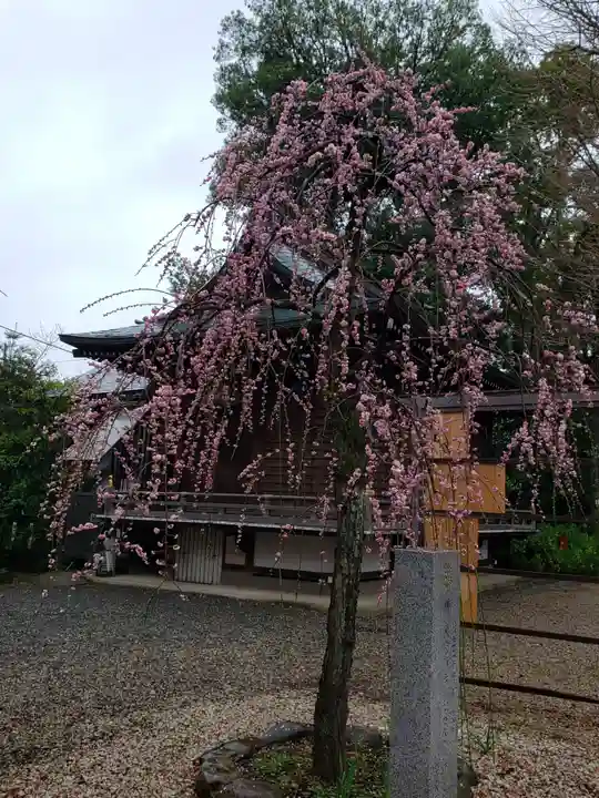 布多天神社(東京都)