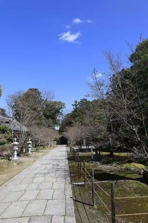 光明寺(粟生光明寺)(京都府)