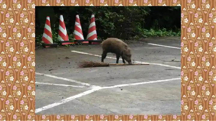 坪沼八幡神社(宮城県)