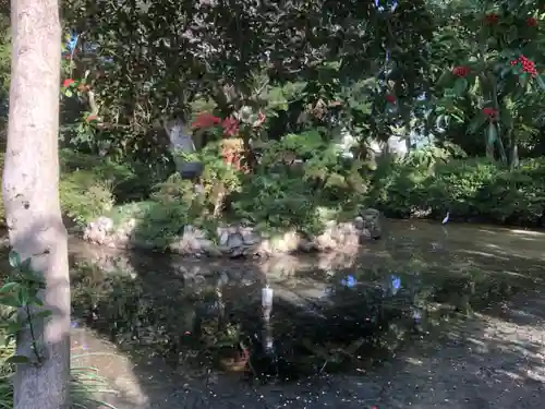 佐太神社(佐太天神宮)(大阪府)