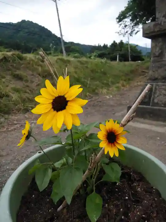高司神社〜むすびの神の鎮まる社〜の自然