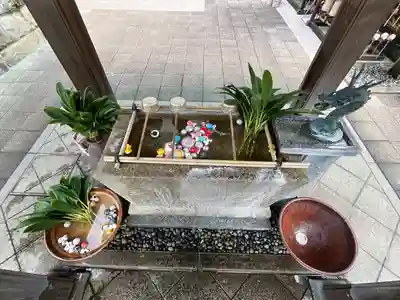 日蓮宗　浄運寺(東京都)