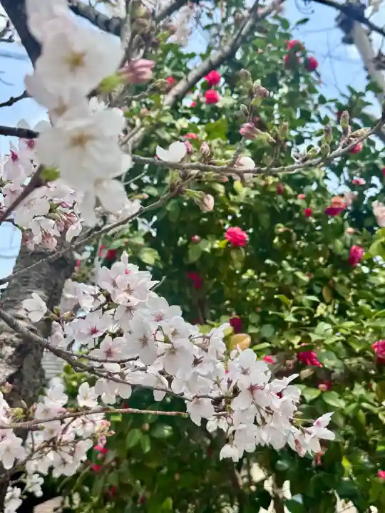 長建寺の{uncategorized: "未分類", other: "その他", undefined: "問題あり", building: "その他建物", grave: "お墓", sacred_gate: "鳥居", guardian: "狛犬", statue: "像", buddha: "仏像", history: "歴史", nature: "自然", garden: "庭園", animal: "動物", pagoda: "塔", temizu: "手水舎", mountain_gate: "山門・神門", sanctuary: "本殿・本堂", subordinate: "末社・摂社", art: "芸術", scenery: "景色", jizo: "地蔵", ema: "絵馬", goshuin: "御朱印", omikuji: "おみくじ", items: "授与品その他", amulet: "お守り", goshuincho: "御朱印帳", eats: "食事", festival: "お祭り", votive_dance: "神楽", shichigosan: "七五三参", wedding: "結婚式", experience: "体験その他", initially: "初詣", around: "周辺", anti_infection: "感染症対策"}