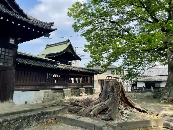 千形神社の{uncategorized: "未分類", other: "その他", undefined: "問題あり", building: "その他建物", grave: "お墓", sacred_gate: "鳥居", guardian: "狛犬", statue: "像", buddha: "仏像", history: "歴史", nature: "自然", garden: "庭園", animal: "動物", pagoda: "塔", temizu: "手水舎", mountain_gate: "山門・神門", sanctuary: "本殿・本堂", subordinate: "末社・摂社", art: "芸術", scenery: "景色", jizo: "地蔵", ema: "絵馬", goshuin: "御朱印", omikuji: "おみくじ", items: "授与品その他", amulet: "お守り", goshuincho: "御朱印帳", eats: "食事", festival: "お祭り", votive_dance: "神楽", shichigosan: "七五三参", wedding: "結婚式", experience: "体験その他", initially: "初詣", around: "周辺", anti_infection: "感染症対策"}