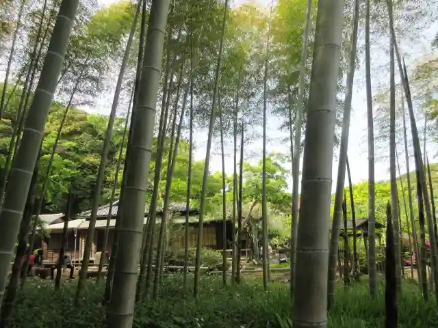 英勝寺の庭園