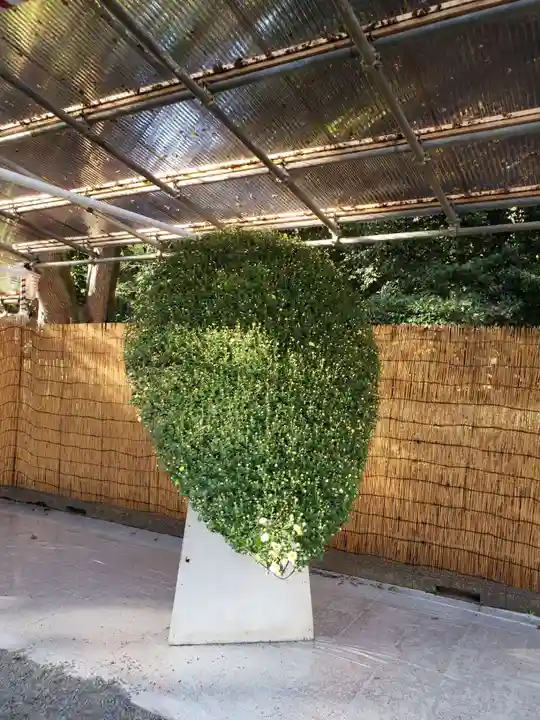 明治神宮のお祭り