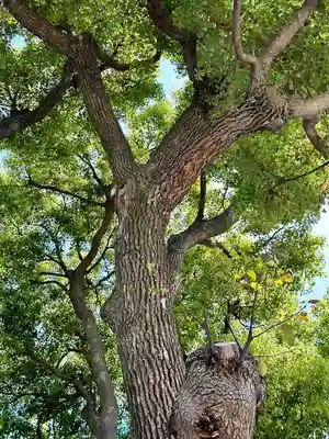 姫嶋神社(大阪府)
