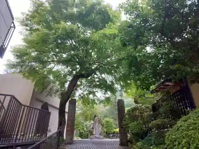 養食山 常泉寺の山門・神門