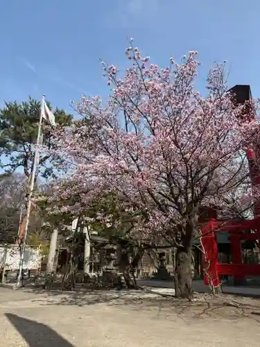 彌彦神社　(伊夜日子神社)(北海道)