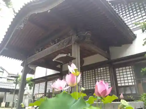 西光寺(福井県)