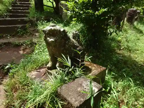 浅間神社の狛犬