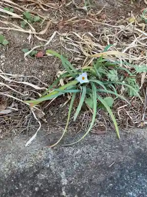 間々観音（龍音寺）(愛知県)