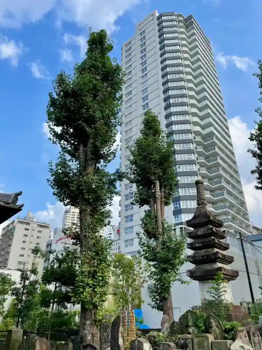 洞雲寺(東京都)