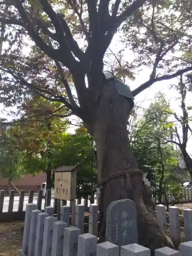 白山神社(福井県)