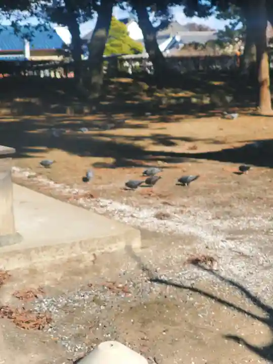 鑁阿寺(栃木県)