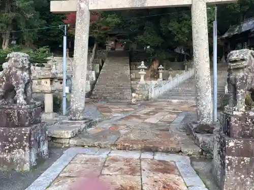 厳原八幡宮神社の狛犬