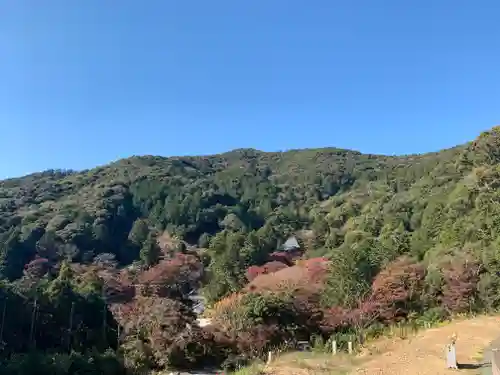 普門寺(切り絵御朱印発祥の寺)の景色