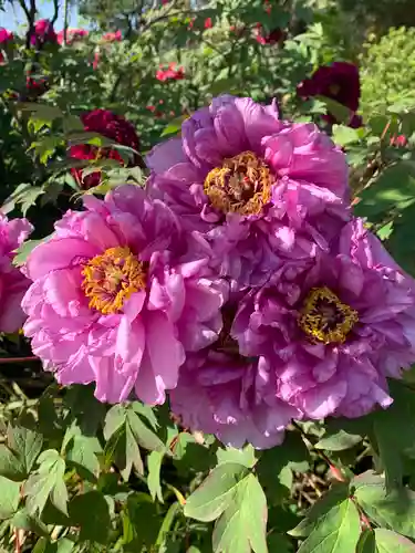 龍真寺(群馬県)