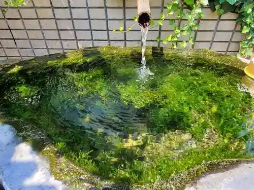 正覚院の手水舎