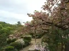 彌彦神社の自然