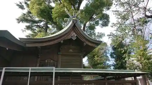 鳩ヶ谷氷川神社の本殿